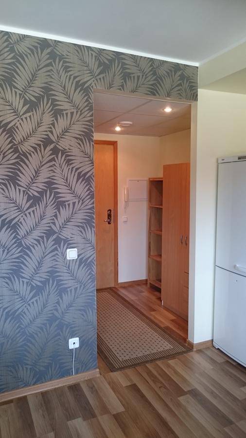 Paernu City Center Apartment エクステリア 写真